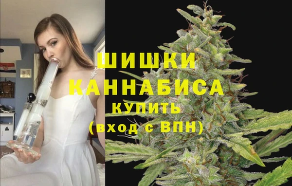 метадон Александровское