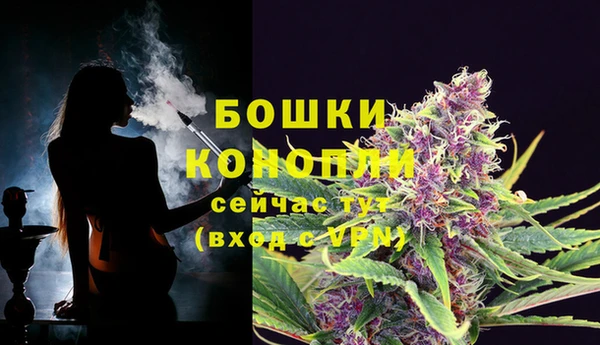мескалин Коряжма