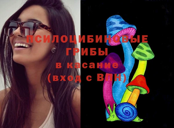 мескалин Коряжма
