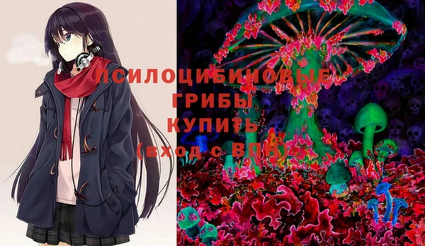 мескалин Коряжма