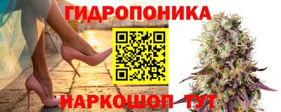 гашик Конаково