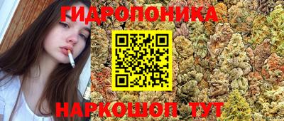 гидра Коммунар