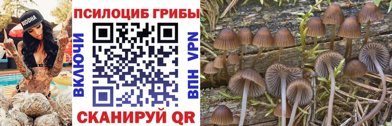 Псилоцибиновые грибы прущие грибы  гидра зеркало  Одинцово 