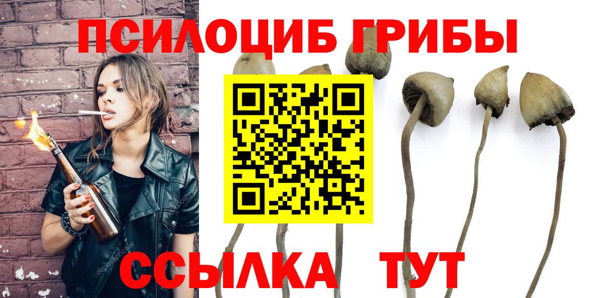 Одинцово  Галлюциногенные грибы GOLDEN TEACHER  Вход с VPN 